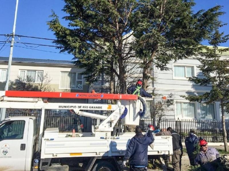 Río Grande impulsa el programa Ciudad Verde con recomendaciones para forestar