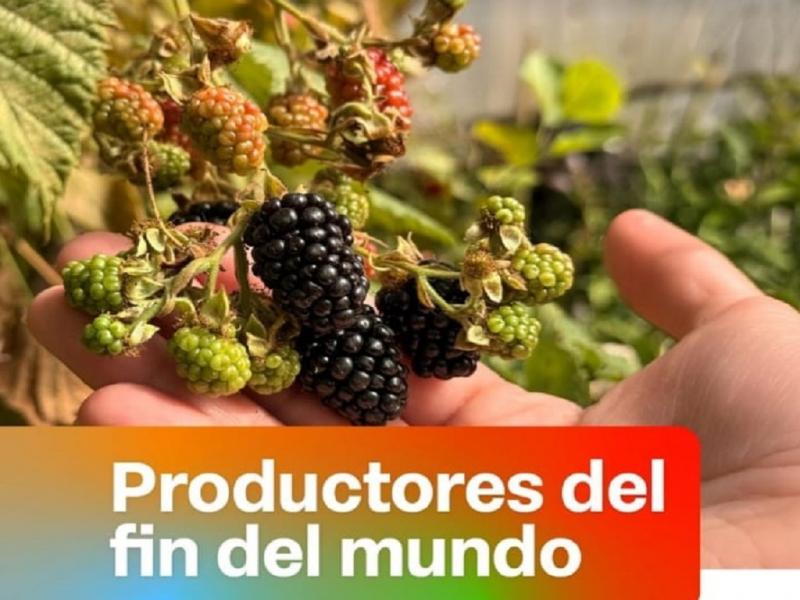 Productores del fin del mundo en la Paseo del Muelle 