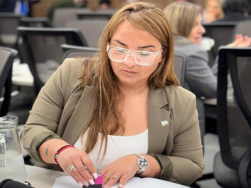 �Sin presupuesto ni articulaci�n con las provincias, la ley no va a funcionar�, Andrea Freites 