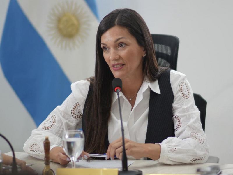�'Quitar subsidios al gas es desconocer c�mo se vive en el sur�', Guadalupe Zamora 