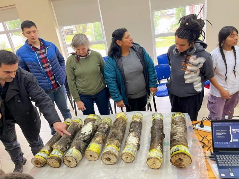 Invitan a la IV Jornada de Hongos Comestibles en Tierra del Fuego 