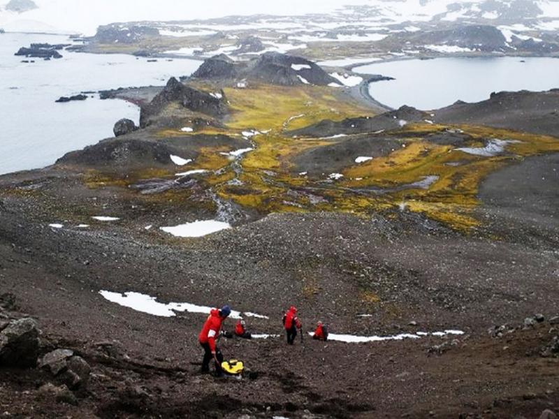 Microplásticos en la Antártida: una señal de alarma