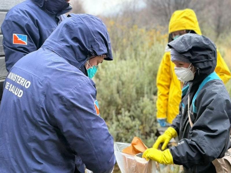 La provincia de Tierra del Fuego y el Malbr�n despliegan operativo de vigilancia epidemiol�gica 