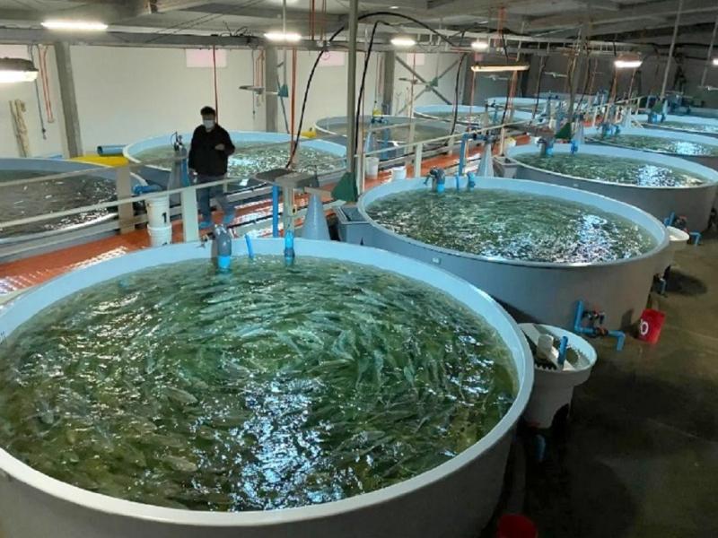 �La nueva Ley de Pesca y Acuicultura impulsa oportunidades de inversi�n y desarrollo productivo en Tierra del Fuego�, Francisco Devita 