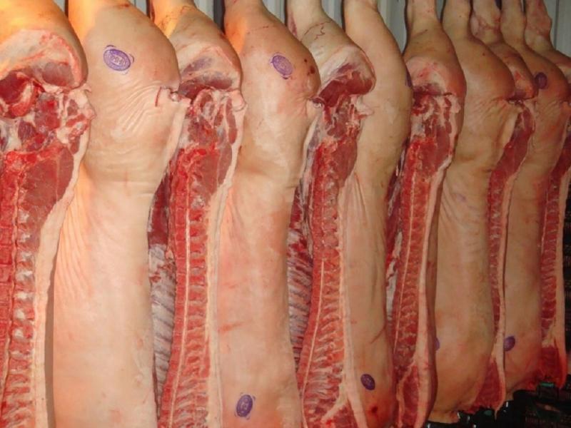 Confirman diagnostico de triquinosis en Ushuaia 