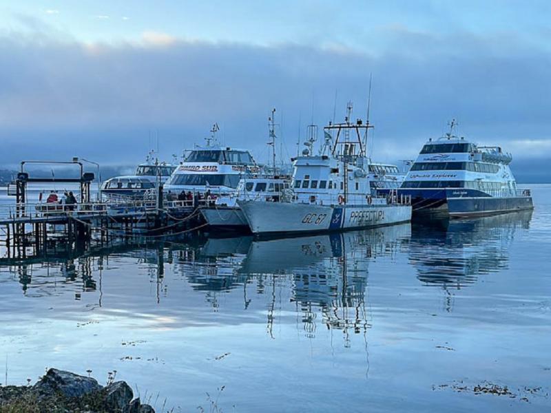 Naci�n cerr� el muelle de catamaranes del Puerto de Ushuaia