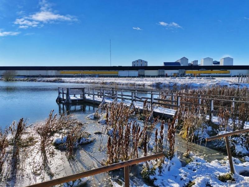 El Municipio habilitó las actividades sobre hielo en la Laguna de los Patos