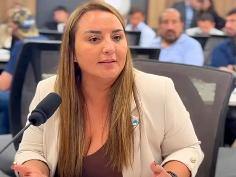 �Las pol�ticas de Milei destruyen la industria y el trabajo de los fueguinos�, Andrea Freites 