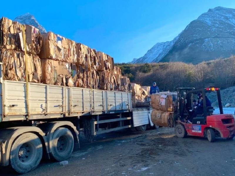 Primera exportaci�n de cart�n al continente 