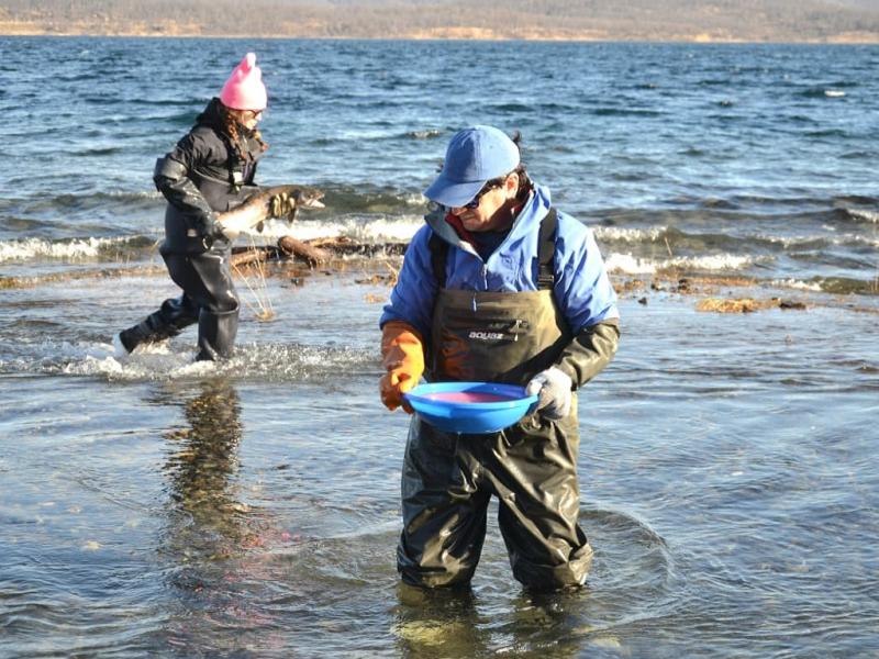 Trabajan en el repoblamiento de r�os y lagos para la temporada de pesca deportiva 