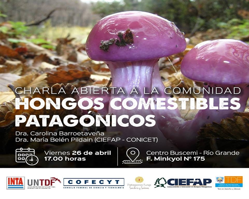 Se develar informacin para reconocer las variedades ms usadas en la gastronoma, identificar especies comestibles y txicas, como as tambin la forma de producir hongos consumidos y cultivados mundialmente. 