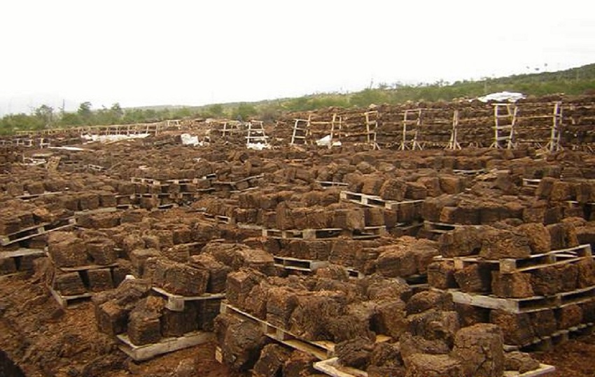 Se presentaron los requisitos de ingreso de turba in natura al mercado brasilero, y de esta forma se trabajar de manera articulada para abrir el mercado, realizar los ensayos necesarios y que pronto la provincia pueda realizar la primera exportacin. 