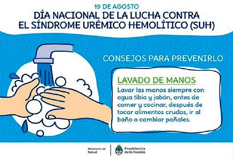 Las personas pueden contraer esta bacteria de alimentos contaminados, como carne picada de vaca y aves sin coccin completa como las hamburguesas, salame, arrollados de carne, leche sin pasteurizar, etc. 