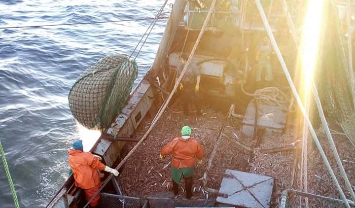 Un informe cientfico tcnico de la UE ha sealado que Espaa tras el Brexit y hasta tanto se negocie un acuerdo de pesca entre la UE y el Reino Unido, enfrenta el riesgo de perder la mitad de los ingresos pesqueros en Malvinas.