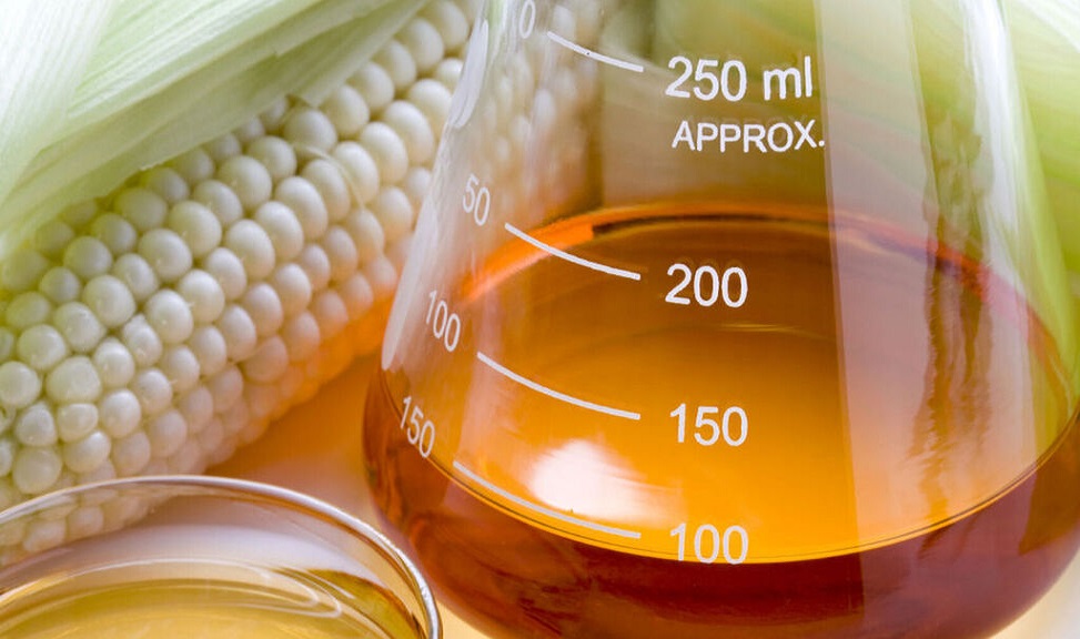 Entre los perjuicios para la salud se sealan, entre otros, disminucin en la insulina sensibilidad y como consecuencia intolerancia a la glucosa e insulina resistencia que son factores que predisponen a la diabetes.