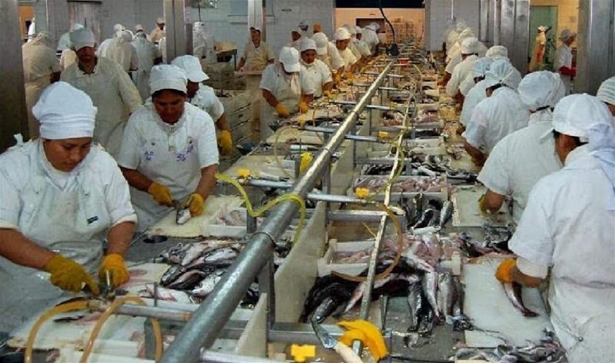 En el caso de las descargas de merluza fresca en el puerto de Caleta Paula, en 2019 se registraron 15.600 toneladas frente a las 3.384 toneladas descargadas en 2017. Es decir, un incremento del 360 por ciento.
