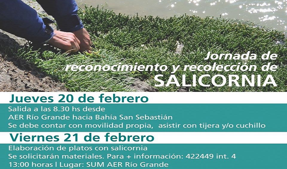 Las actividades, organizadas por el INTA - ProHuerta Tierra del Fuego, son independientes una de otra, gratuitas, para personas mayores de 18 aos sin inscripcin previa.
