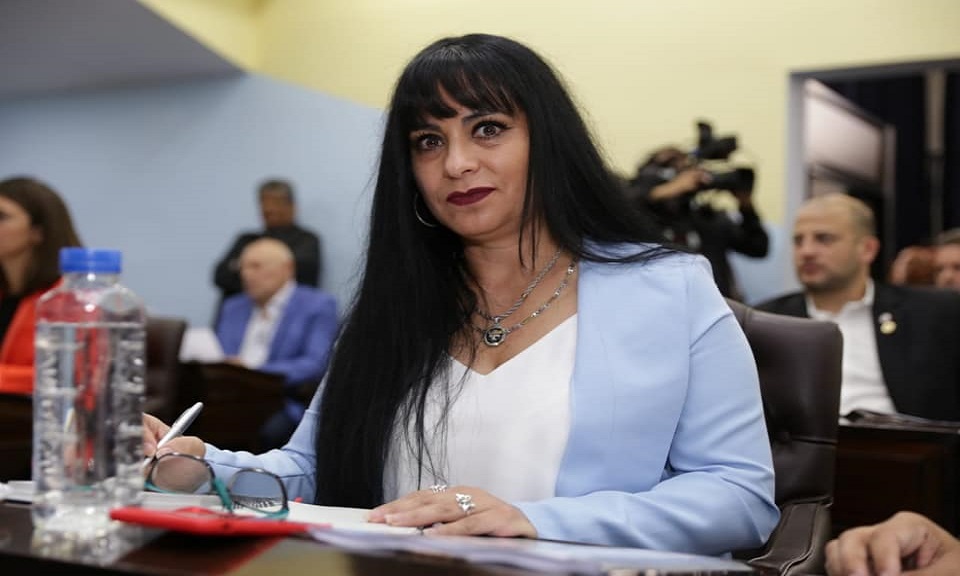 Esta crisis, esta urgencia, debemos convertirla en una gran oportunidad. En la oportunidad de recuperar, construir y  planificar un Estado nacional y provincial fuerte y presente, seal Mnica Acosta. 
