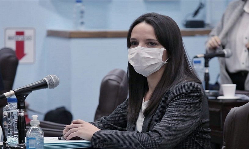 Tras la Sesin Legislativa Especial donde se vot por unanimidad el trabajo en comisiones, el Bloque del Partido Verde manifest su conformidad.