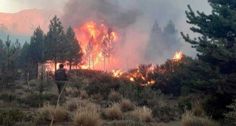 Es muy grave la situacin porque a un da de existir sigue fuera de control y las condiciones empeoraron; tiene muchos frentes activos y eso dificulta el combate, remarc Nicols DAgostino, Segundo Jefe del SPLIF de El Bolsn.