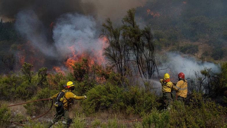 En este momento, 260 combatientes estn abocados a este incendio y en el transcurso de este lunes, llegarn otros 33 para reemplazar a los brigadistas de Neuqun y Crdoba. Foto de archivo. 