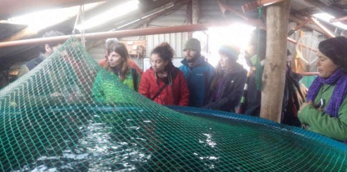 El Clster de Pesca Artesanal de Tierra del Fuego expuso ante provincias patagnicas
