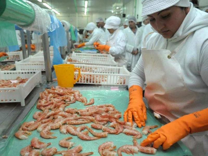 Daniel Scioli, Embajador en Brasil recibi en el Mercado Central de San Pablo el primer embarque de langostinos argentinos en ocho aos. Llegaron cinco toneladas procedentes de Chubut.
