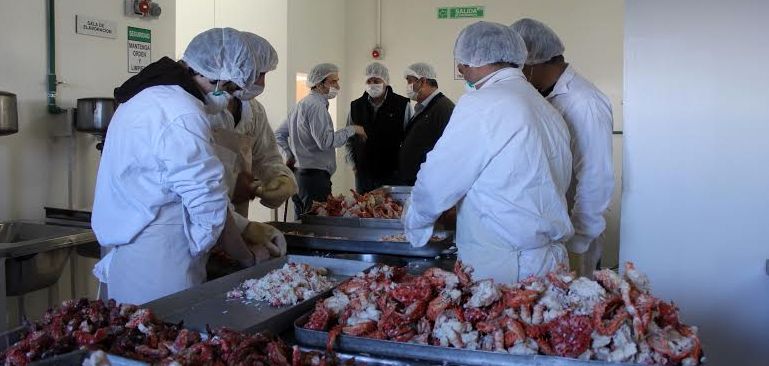 En la ciudad de Ushuaia comenz el procesamiento en la Planta de Crustceos 