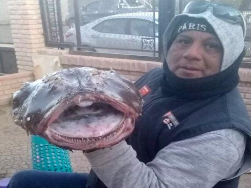 Tiene una antena larga y atrs una chiquita. Pienso que es un monstruo de las profundidades, describi el pescador de Comodoro Rivadavia que ya ha sido contactado por bilogos de Trelew para estudiar el misterioso ejemplar.