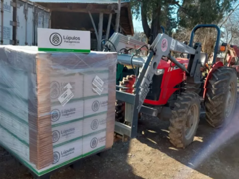 El Bolsn ocupa el 80% del total de produccin y aproximadamente el 20% restante se divide entre General Roca, Fernndez Oro, y Villa Regina, aunque tambin hay produccin en otras partes de la provincia de Ro Negro. 