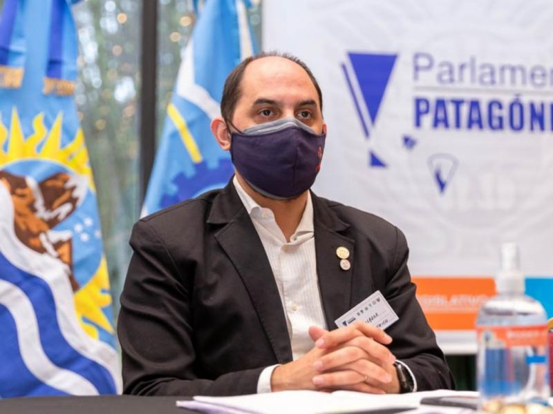 Por la tarde, se realizaron las diferentes reuniones de comisiones que integran el Parlamento Patagnico, de las cuales participaron Diputados y Legisladores de manera presencial y remota. 