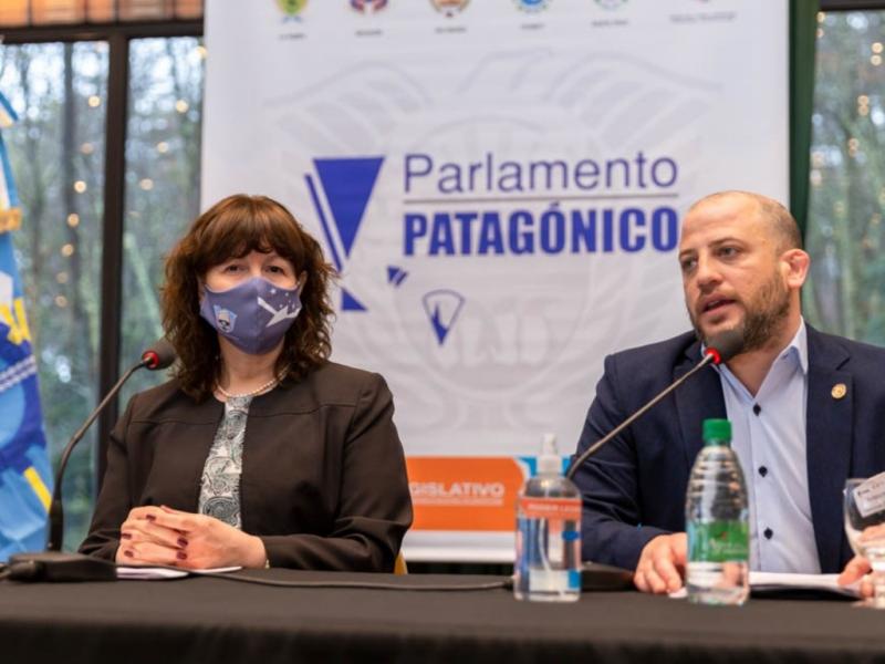 El Cuerpo regional debe estar a la altura que requiere la realidad que afecta a Patagonia, resalt Emmanuel Trentino. 