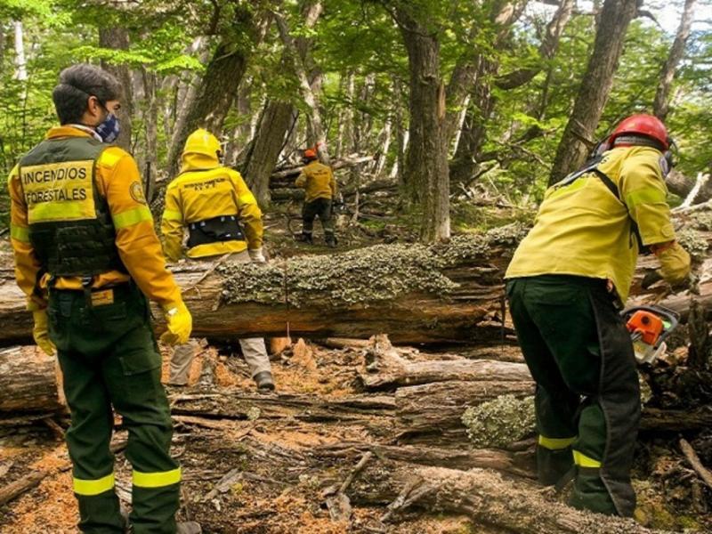 Se insta a la poblacin a ajustar y extremar los cuidados a la hora de hacer fuego en zonas agrestes, respetar los sitios habilitados para la temporada y estar atentos a la posible propagacin de incendios a causa de los fuertes vientos.
