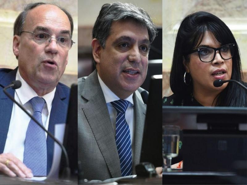 Quiero resaltar la importancia de una defensa unnime porque esto es una poltica de Estado y debe encontrarnos a las y los argentinos, unidos, dijo Matas Rodrguez. 