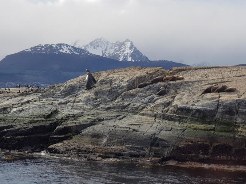 Ushuaia ofrece a los turistas la posibilidad de navegar en el Canal Beagle, recorrer el Parque Nacional Tierra del Fuego a bordo del tren del Fin del Mundo y realizar senderismo entre otras tantas actividades en la naturaleza.