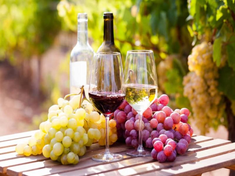 Los datos oficiales destacan que ocho de cada diez argentinos y argentinas toman vinos tintos, blancos, espumosos, rosados, dulces, secos; los toman a 12C o 18C, solos o diluidos con agua, con soda, o con hielo.