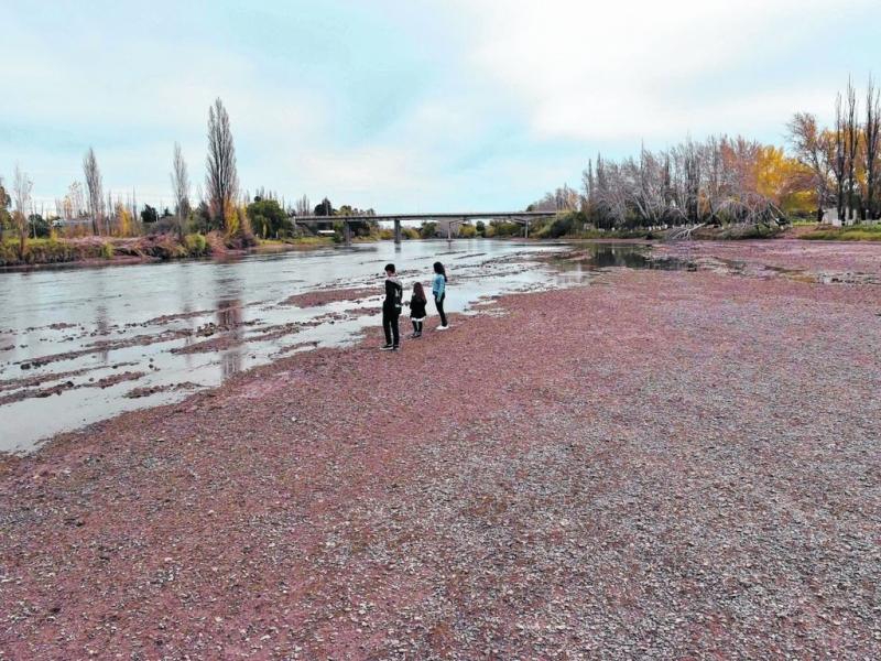 Durante el ao pasado, Patagonia fue la regin que ms sinti el incremento de la temperatura. Adems, registra desde 2007 una tendencia a tener aos ms secos, indic el Servicio Meteorolgico Nacional.