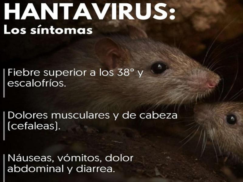 El sbado, las sospechas fueron confirmadas luego de que el Instituto Malbrn asegurara que se trata de hantavirus y de que el Director del Hospital zonal de Esquel, Sergio Cardozo, lo informara a los medios locales.