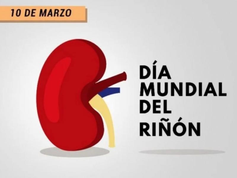 Las actividades sern del 10 al 28 de marzo en Ro Grande y Ushuaia. El objetivo es captar pacientes que an no tienen diagnstico de patologa renal y generar conciencia sobre la importancia de los hbitos saludables para prevenir enfermedades.