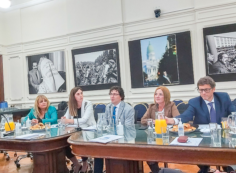 Se trata de un espacio institucional que aportar la mirada federal sobre la cuestin del ambiente, que incluye en primera persona, interlocutores vlidos de todas las Cmaras como Diputados provinciales y nacionales, dijo Mnica Acosta.