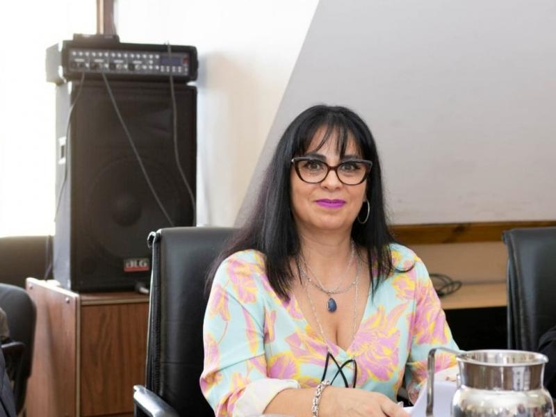 En el marco de la Comisin de Recursos Naturales N 3, que preside la Legisladora Mnica Acosta (FORJA), se determin una agenda de tres das para avanzar en la discusin.
