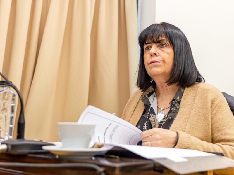 La ley sancionada, tambin crea un Consejo Consultivo el que estar integrado por trabajadores, a los efectos de garantizar la representacin paritaria. Hemos incluido a todos los gremios relacionados con el Estado fueguino, indic Martnez Allende.