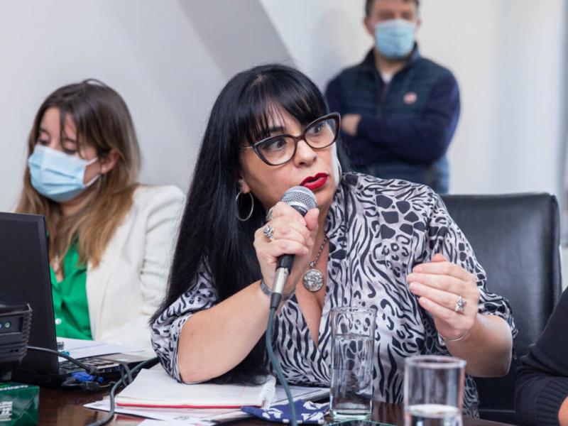 Nosotros tenemos que sancionar la mejor ley, que resguarde el inters de los ocupantes, de sus actividades, pero esencialmente el inters de la comunidad de las tres ciudades, coment Mnica Acosta. 