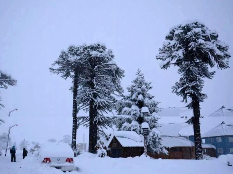 La nieve ha superado los niveles histricos, y ser un muy buen aporte para lo que viene, teniendo en cuenta el perodo de sequa que venamos atravesando, dijo Griselda Ostertag, Meteorloga la Autoridad Interjurisdiccional de Cuencas.