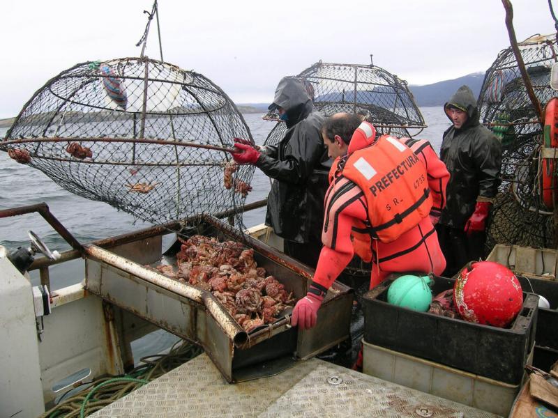 La empresa sostiene que, el objetivo del proyecto es desarrollar una unidad productiva relevante que le permita ser lderes en la produccin sustentable de la centolla, exportando desde Tierra del Fuego productos de calidad al mundo.