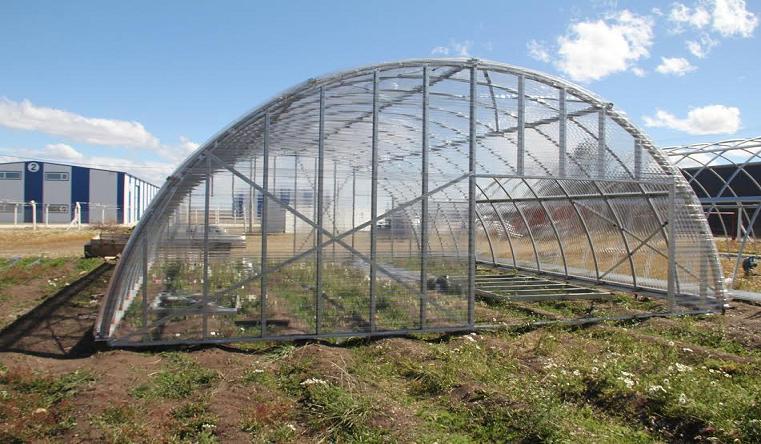 Queremos llegar a todos los productores con nuestro apoyo, el desafo final es tener frutas y verduras de calidad, producidas ac, y generar un circuito financiero y econmico en la ciudad