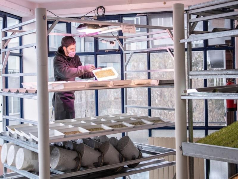 Superadas las instancias de implementacin, las empresas participantes atravesaron la instancia de auditoras, realizadas por la Organizacin Internacional Agropecuaria (OIA - Calidad en alimentos).