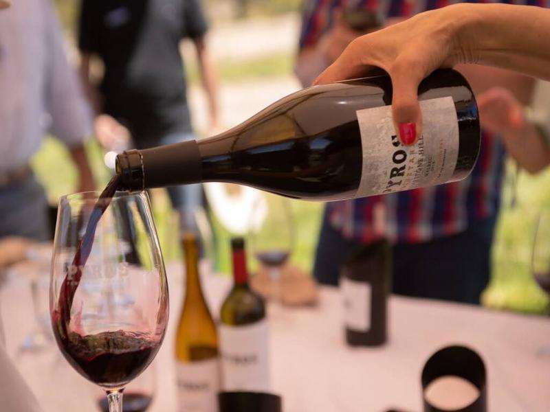 Los dos vinos argentinos que se coronaron como los mejores Malbec del mundo fueron el Pyros Vineyard Limestone Hill Malbec 2018, de Pyros Wines, de San Juan; y el Doa Paula Los Indios Parcel 2019, de Bodega Doa Paula, de Mendoza.