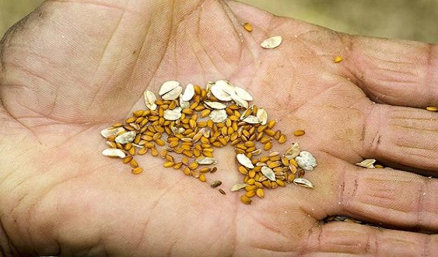 La charla Semillas, cosecha y conservacin, se llevar a cabo en las sedes del INTA, en Ushuaia el martes 25 de abril, y en la Agencia de Extensin Rural Ro Grande, el mircoles 26 de abril. 