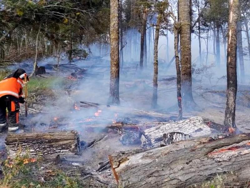 Hasta la noche del lunes, el incendio se reporta activo y ha afectado aproximadamente a 3 hectreas. Brigadistas permanecern en el lugar para contener el permetro. Foto: jcanoticias.com.ar.
